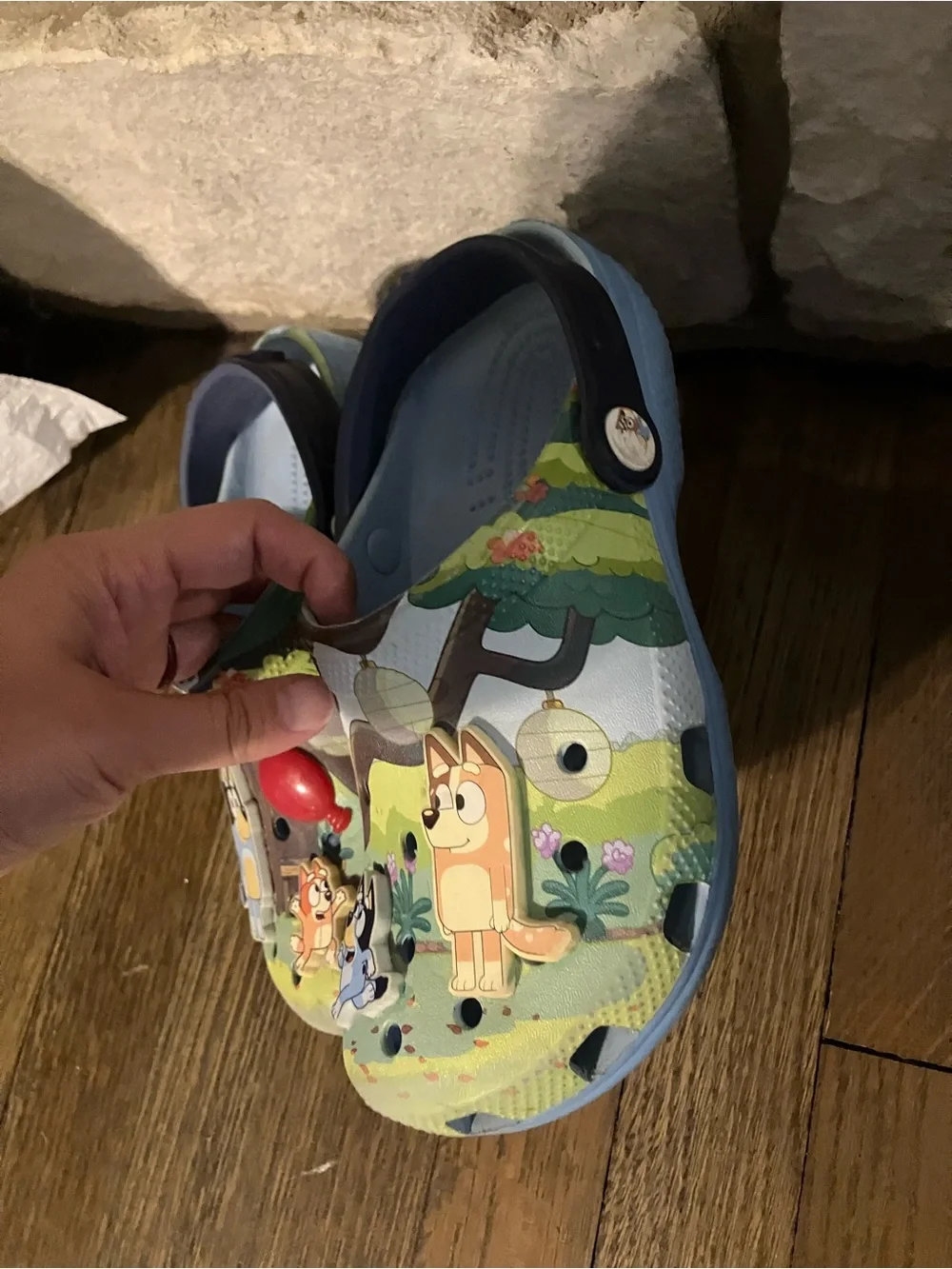 Bluey-Themed Kids Slip-On Crocs
